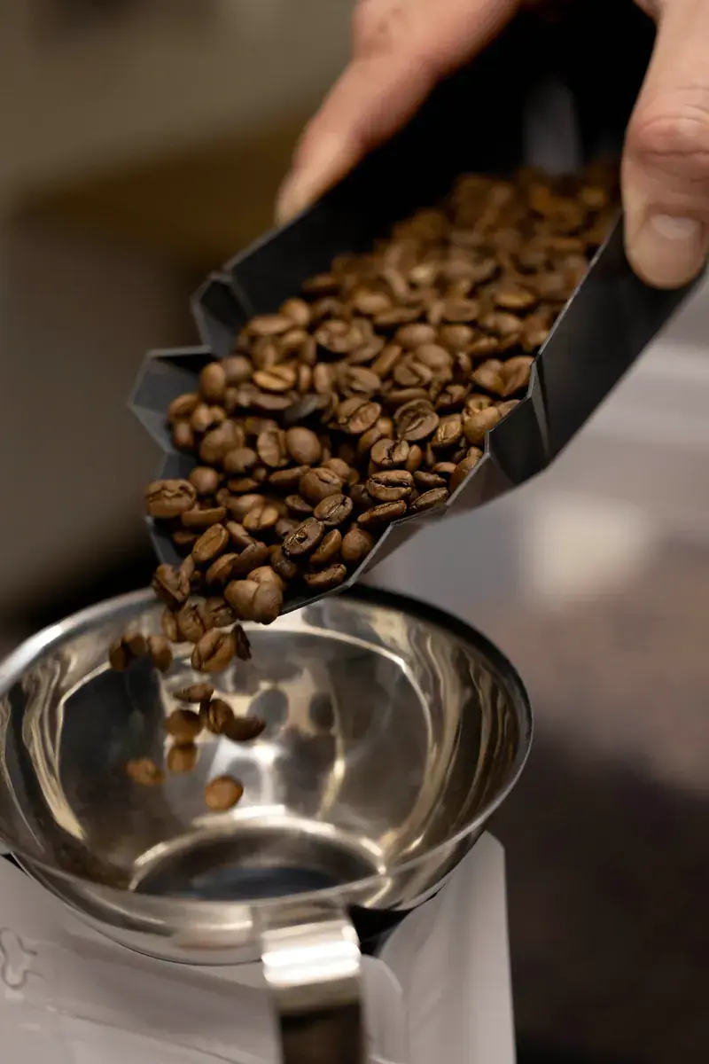 Freshly roasted coffee beans poured from a metal scoop into a bowl